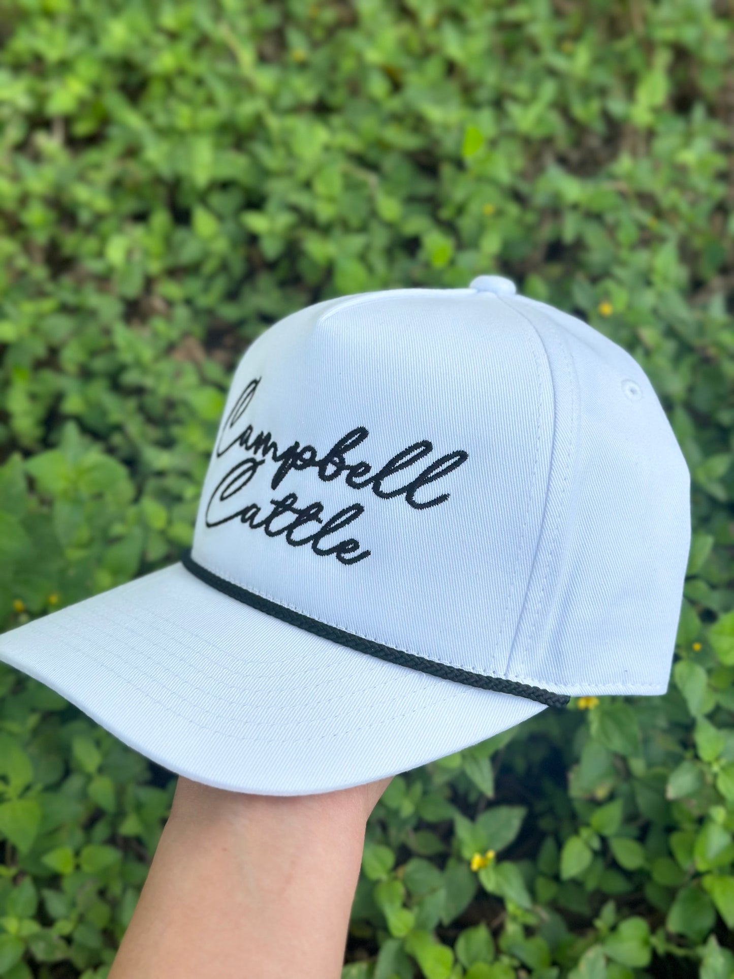 Campbell Cattle-White