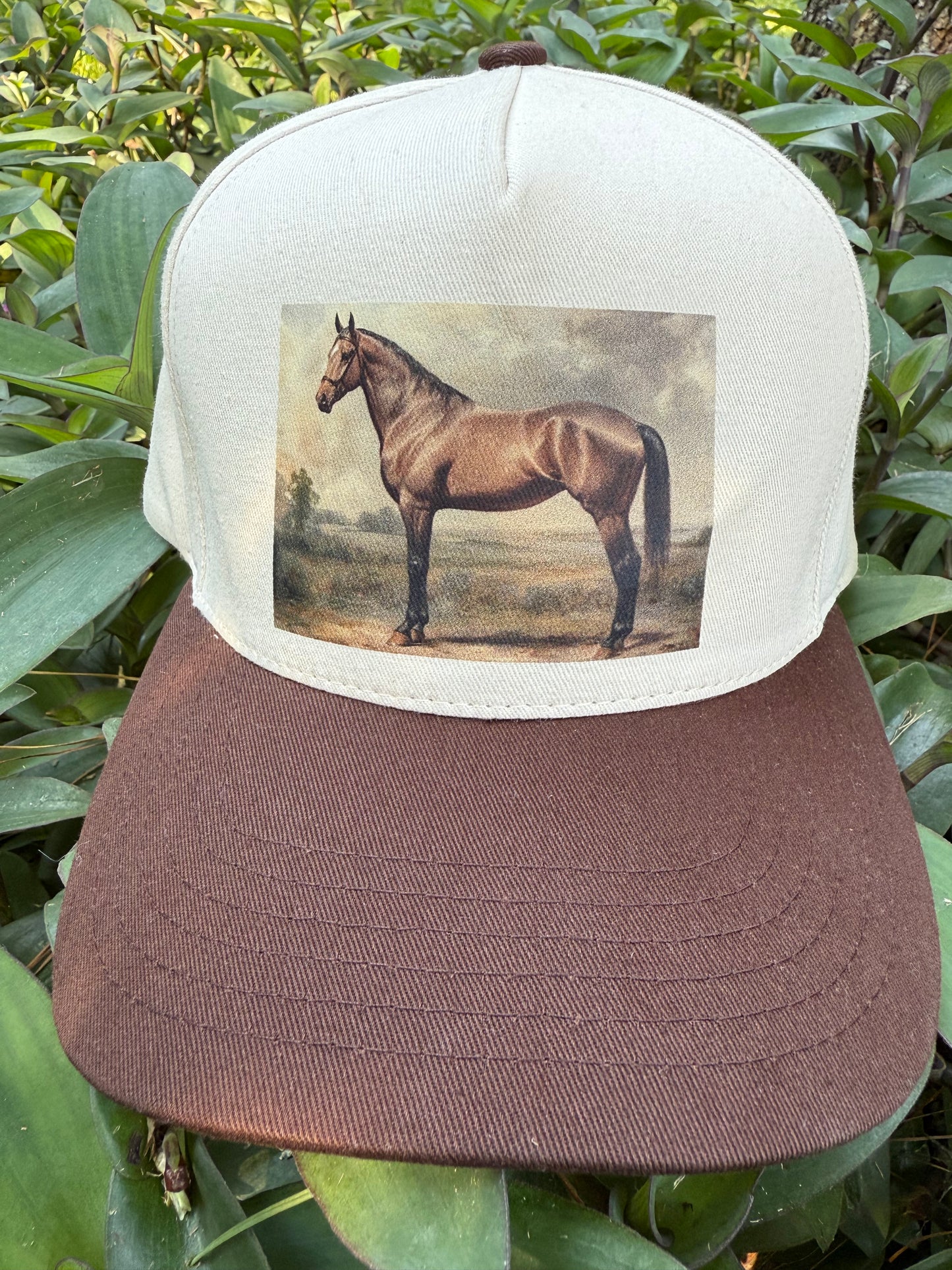 Vintage Horse Portrait Cap