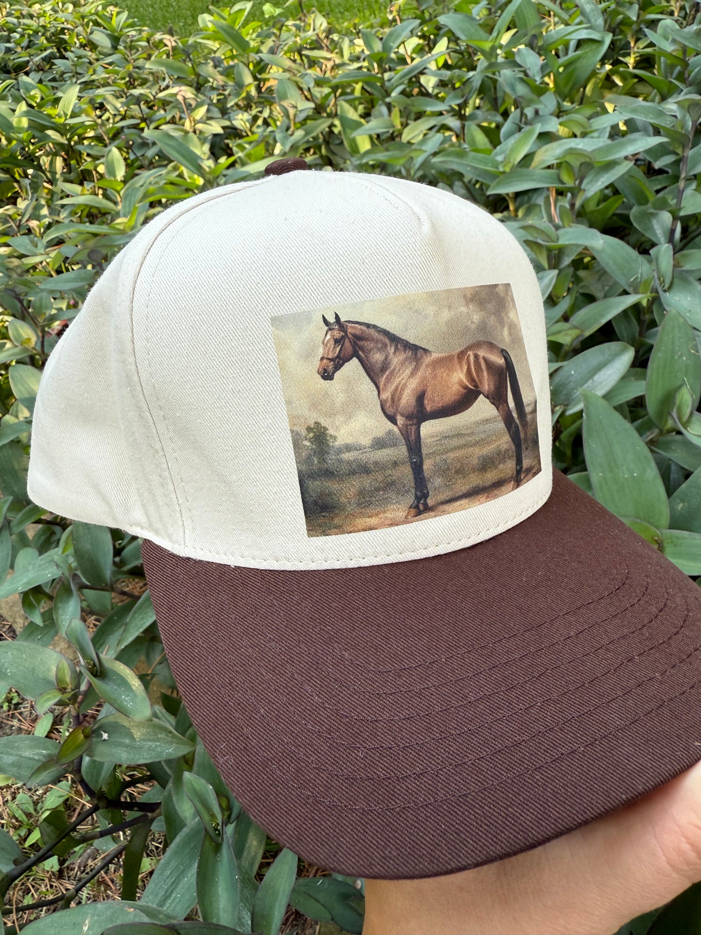 Vintage Horse Portrait Cap